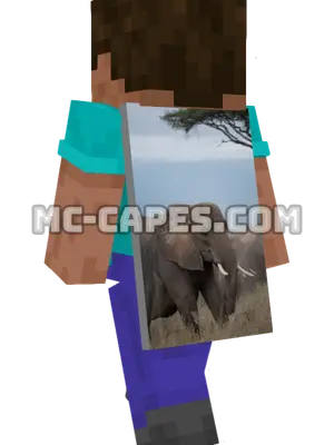 African Elephants Minecraft cape worn on a player