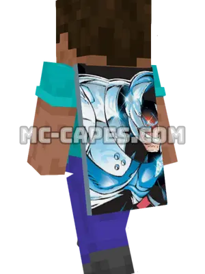Ajax Minecraft cape worn on a player