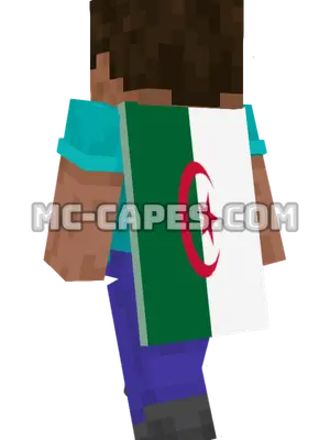 Algeria Flag Minecraft cape worn on a player