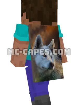 Arctic Wolf Minecraft cape worn on a player