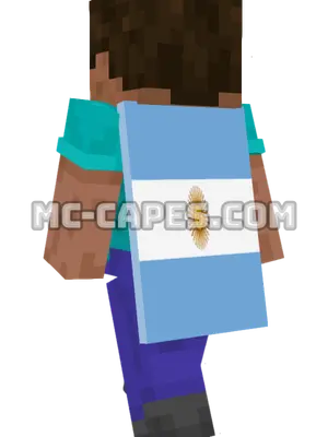 Argentina Flag Minecraft cape worn on a player