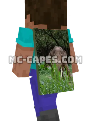 Asian Elephants Minecraft cape worn on a player