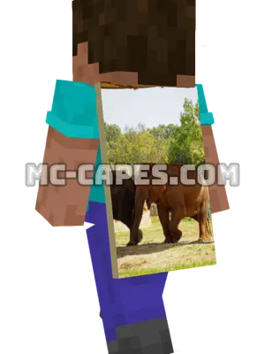 Asian Elephants Minecraft cape worn on a player