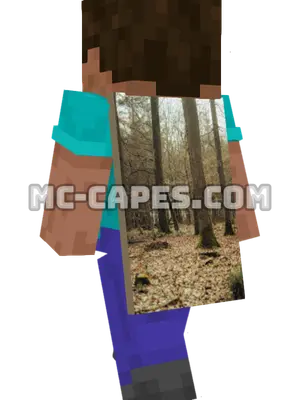 Autumn Forest Minecraft cape worn on a player