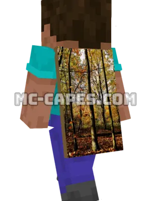 Autumn Forest Minecraft cape worn on a player