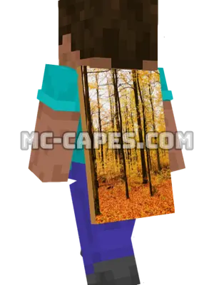 Autumn Forest Path Minecraft cape worn on a player