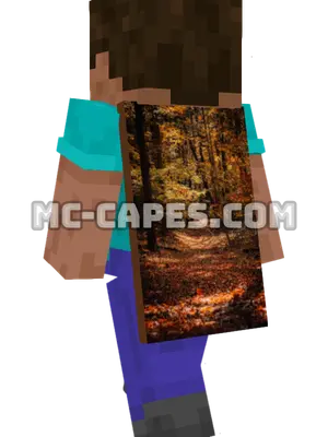 Autumn Trees Minecraft cape worn on a player