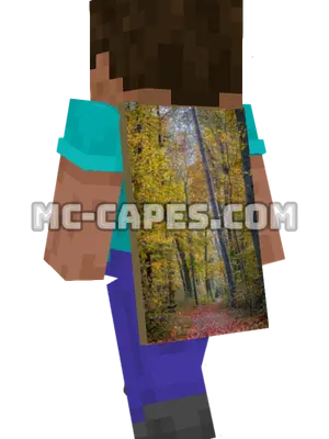 Autumn Woodland Minecraft cape worn on a player