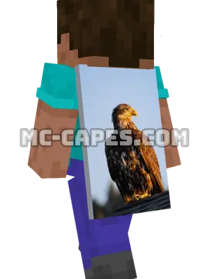 Bald Eagle Minecraft cape worn on a player