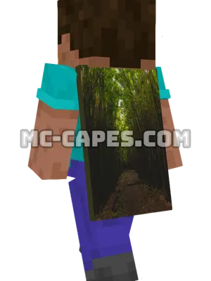 Bamboo Forest Minecraft cape worn on a player