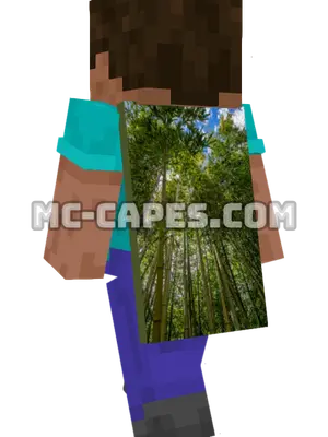 Bamboo Grove Minecraft cape worn on a player