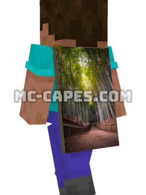 Bamboo Path Minecraft cape worn on a player