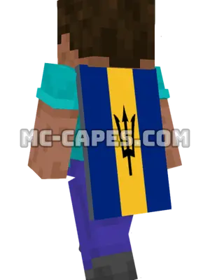 Barbados Flag Minecraft cape worn on a player
