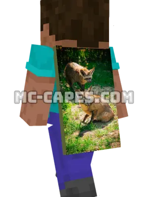 Bat-Eared Foxes Minecraft cape worn on a player