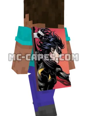 Batgirl IV Minecraft cape worn on a player