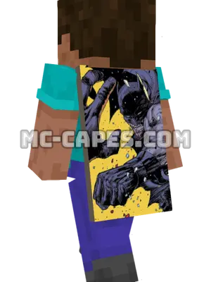Batman II Minecraft cape worn on a player