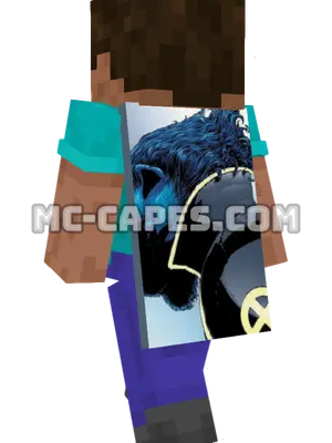 Beast Minecraft cape worn on a player