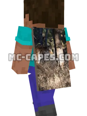 Bengal Tiger Minecraft cape worn on a player
