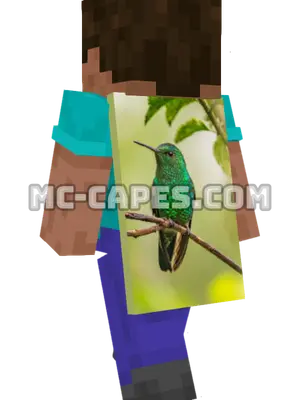 Bird on Branch Minecraft cape worn on a player