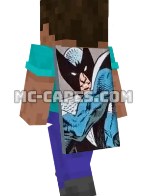 Blackwing Minecraft cape worn on a player