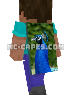 Blue Peacock Minecraft cape worn on a player