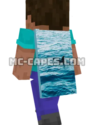 Blue Water Dolphin Minecraft cape worn on a player