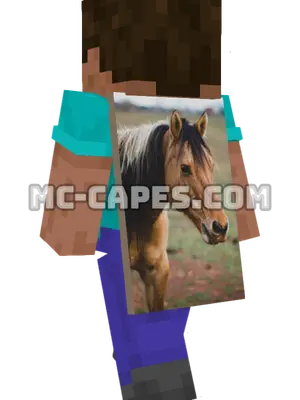 Brown Horse Minecraft cape worn on a player