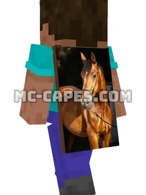 Brown Horse Halter Minecraft cape worn on a player