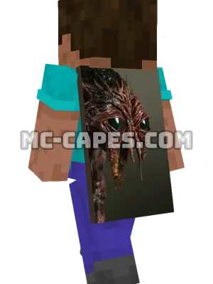Brundlefly Minecraft cape worn on a player
