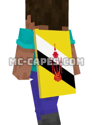Brunei Flag Minecraft cape worn on a player