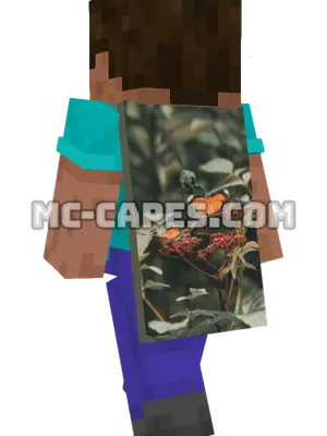 Butterflies on Berries Minecraft cape worn on a player