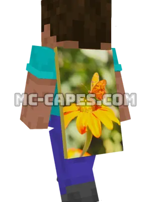 Butterfly on Flower Minecraft cape worn on a player