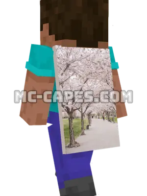 Cherry Blossom Walk Minecraft cape worn on a player