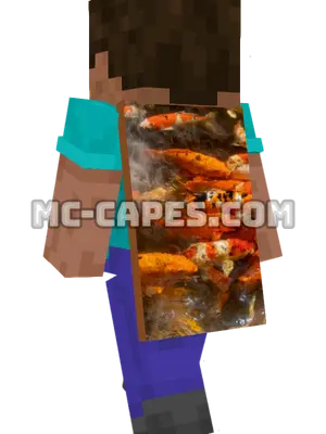 Colorful Koi Minecraft cape worn on a player