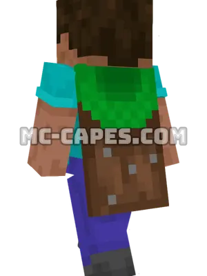 Common Minecraft cape worn on a player