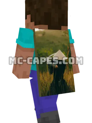 Conical Hat Katana Minecraft cape worn on a player