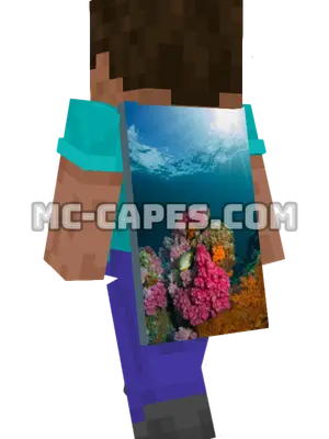 Coral Fish Minecraft cape worn on a player