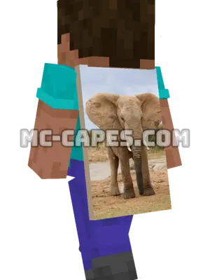 Desert Elephant Minecraft cape worn on a player