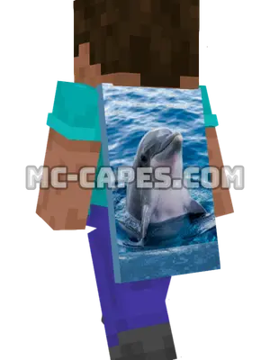 Dolphin Minecraft cape worn on a player