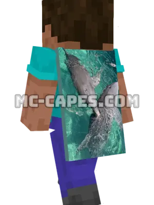 Dolphin Pair Minecraft cape worn on a player