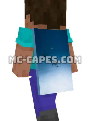 Dolphin Pod Minecraft cape worn on a player