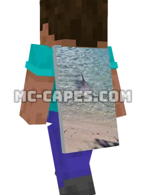 Dolphin Swim Minecraft cape worn on a player