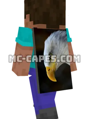 Eagle Head Minecraft cape worn on a player