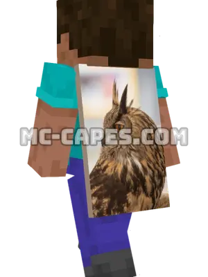 Eagle Owl Minecraft cape worn on a player