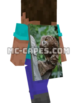 Eagle Owl Minecraft cape worn on a player