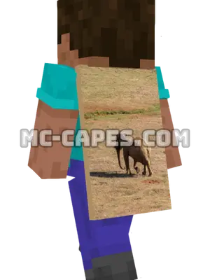 Elephant Minecraft cape worn on a player