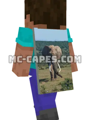 Elephant Grazing Minecraft cape worn on a player