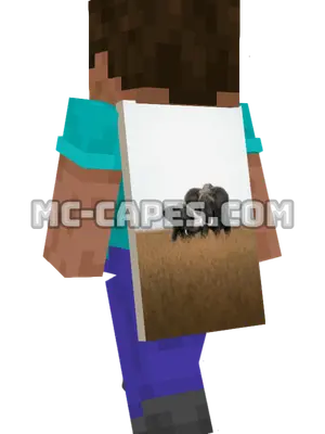 Elephants Minecraft cape worn on a player