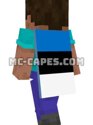 Estonia Flag Minecraft cape worn on a player