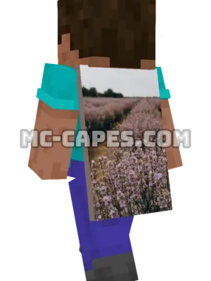 Flower Field Minecraft cape worn on a player